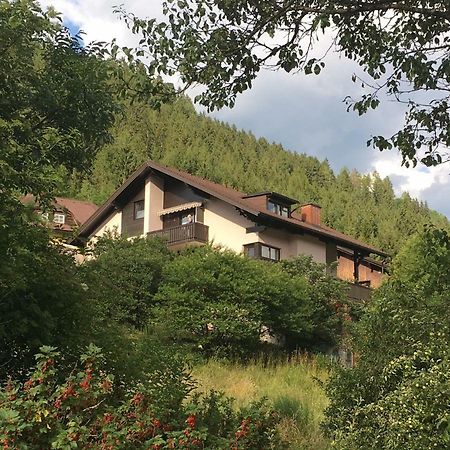 Haus Agnes, Мурау Экстерьер фото
