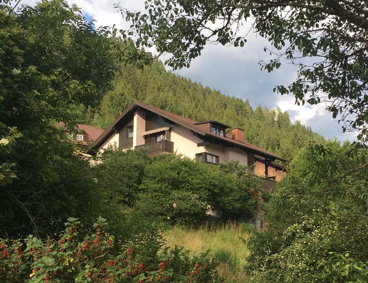 Haus Agnes, Мурау Экстерьер фото